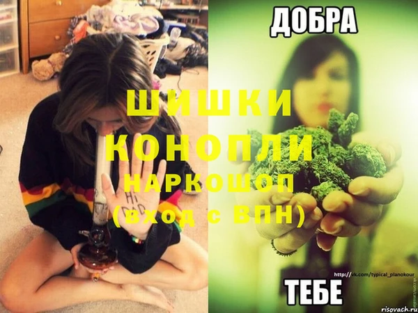 каннабис Богданович