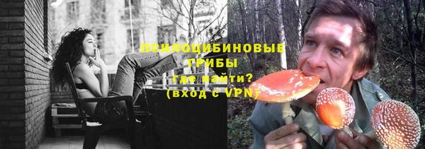 прущая мука Верея